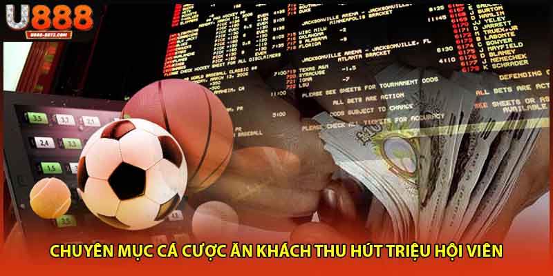 Chuyên mục cá cược ăn khách thu hút triệu hội viên